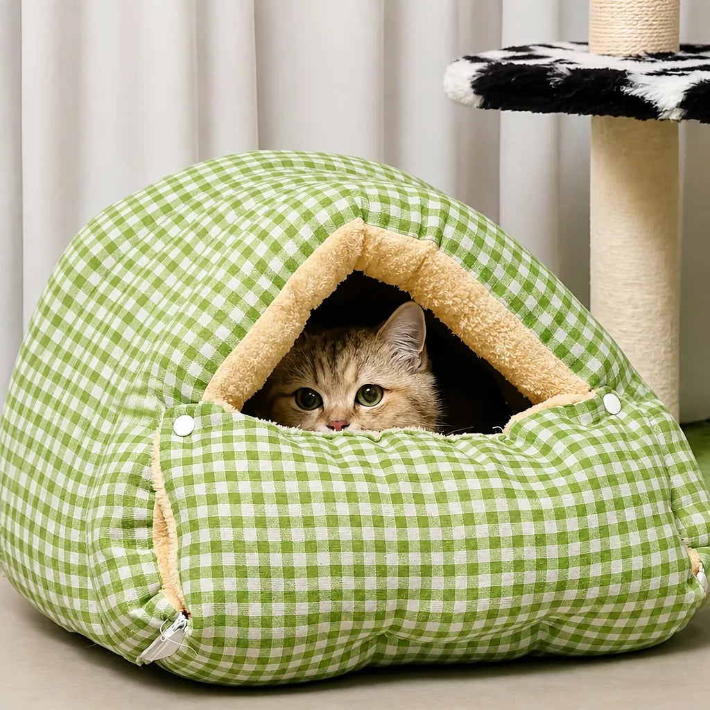 Elevated vs Enclosed Pet Beds: Which Style Fits Your Pet?