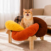 Dog supplies collection banner for everyday life with dogs