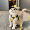 Clothing and accessories collection for cats and dogs