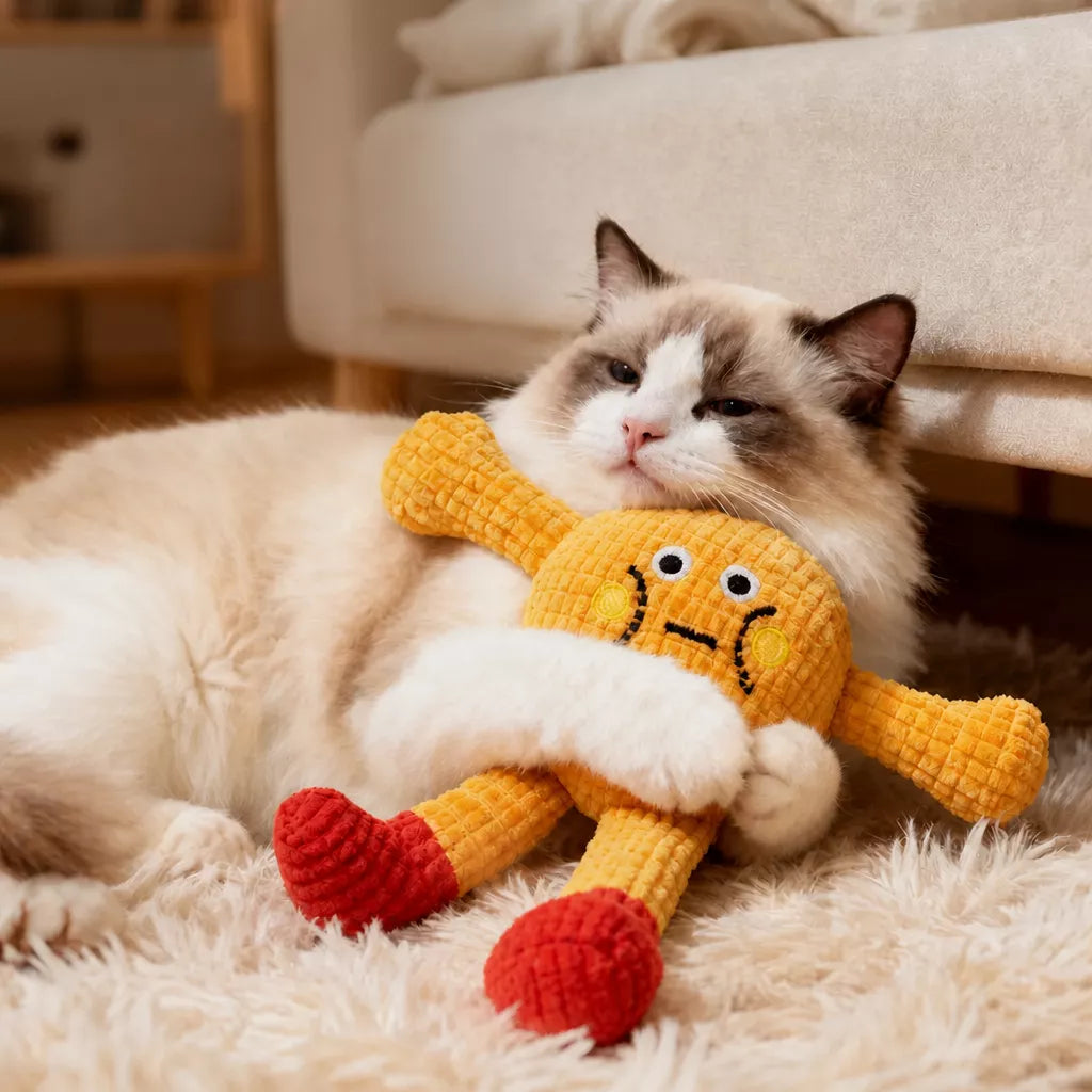 Cat Toys