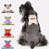 Leashes collection banner for cats and dogs