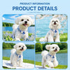 Nylon Dog Harness and Leash for Small Dogs