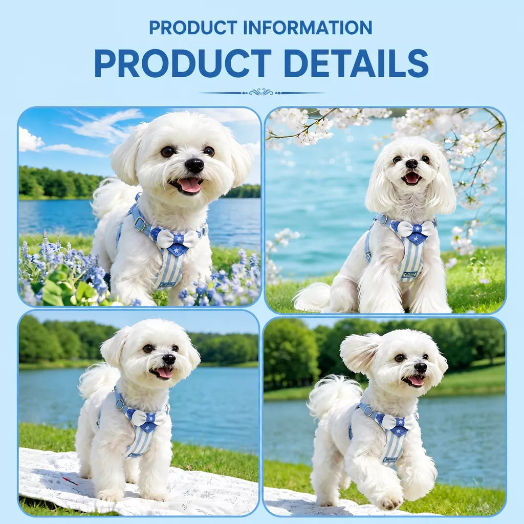 Nylon Dog Harness and Leash for Small Dogs