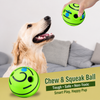 Squeaky Vinyl Dog Ball Toy