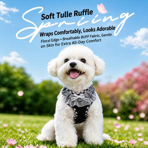 Nylon H-Style Dog Harness and 6.6-Foot Leash Set