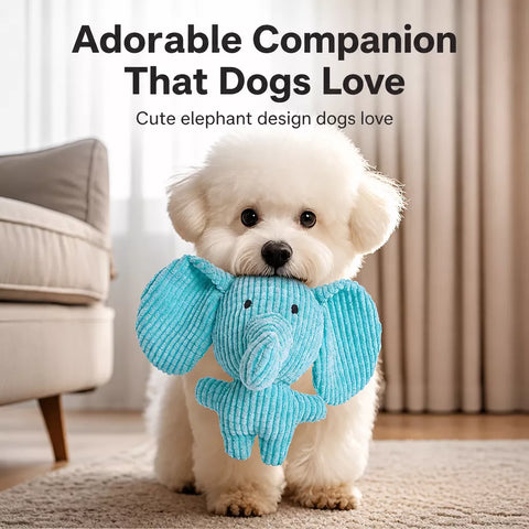 Plush Squeaky Dog Toy