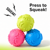 Paw Print Squeaky Ball Dog Toy