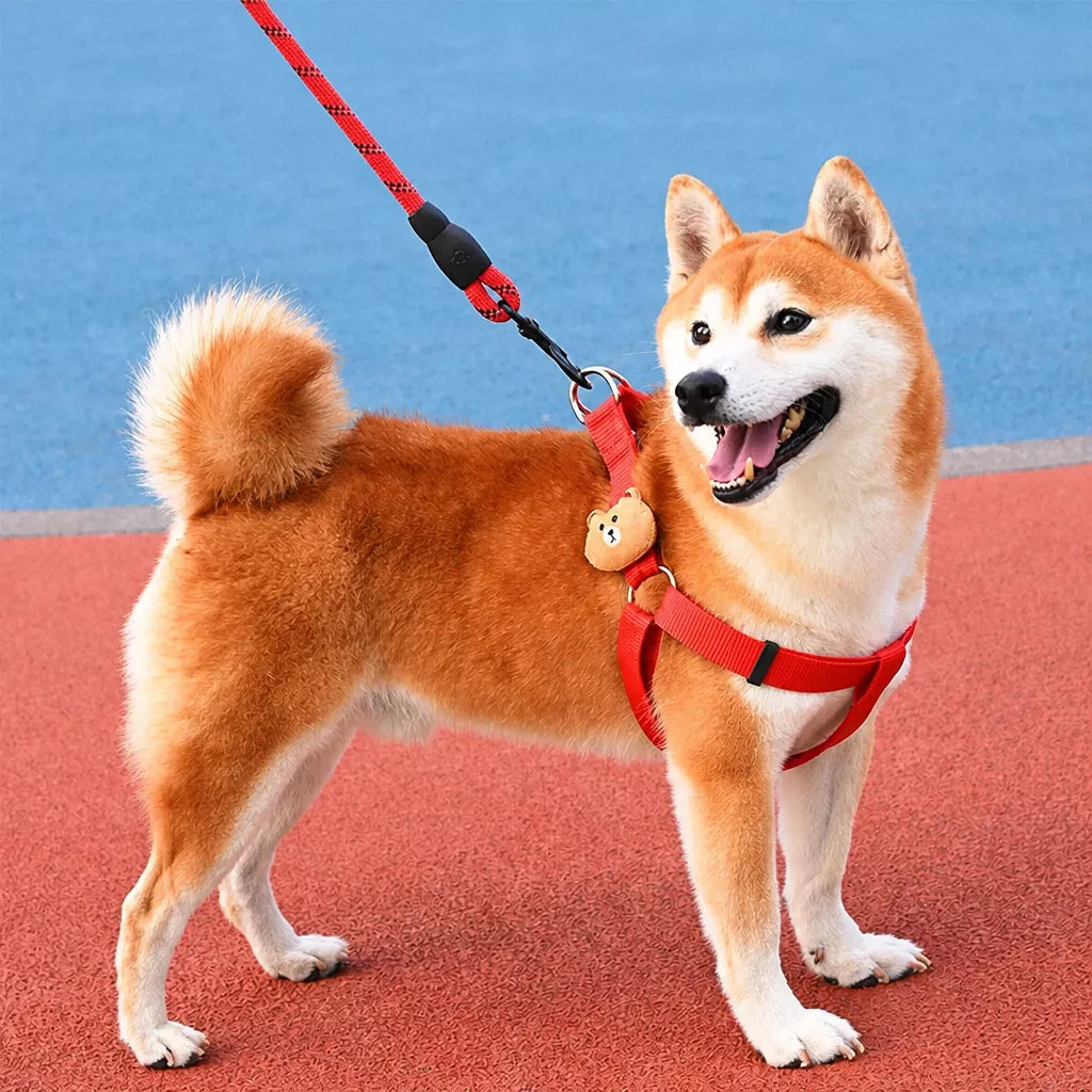 Adjustable Nylon Dog Harness & Leash