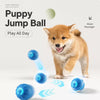 Interactive Squeaky Bouncing Ball Dog Toy