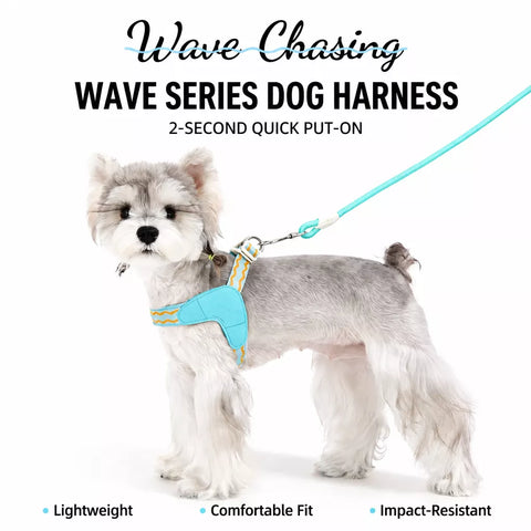 Y-Shaped Nylon Dog Harness and Leash for Small to Medium Dogs