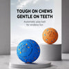 Interactive Electric Bouncing Ball Dog Toy