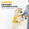 Lightweight Nylon Dog Harness and Leash Set for Everyday Walks