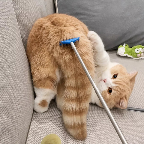 Retractable Pet Scratching Stick