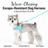 Y-Shaped Nylon Dog Harness and Leash