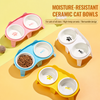 Ceramic Double Cat Bowls with Stand