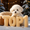 Covered Pet Bed House for Dogs and Cats - p-00712