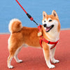 Adjustable Dog Harness and Handheld Leash