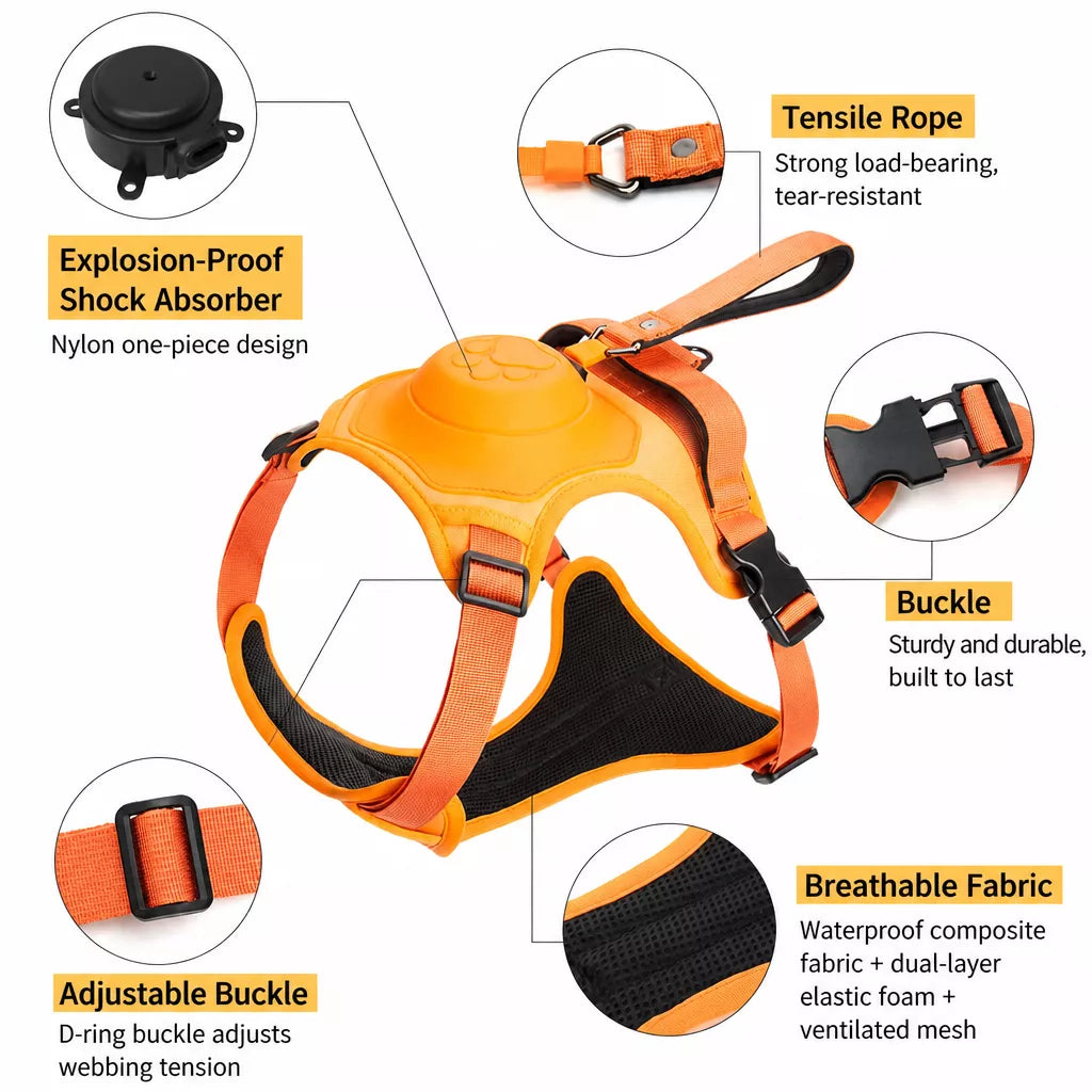 Nylon Dog Harness with Retractable Leash