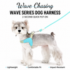 Y-Shaped Nylon Dog Harness and Leash