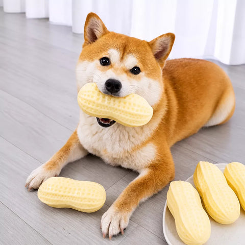 Peanut-Shaped Squeaky Dog Toy