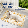 Waterproof Cooling Pet Mat for Dogs & Cats - p-00684