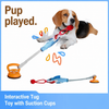 Interactive Dog Tug Toy