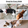 Adjustable Nylon Pet Harness and Leash Set