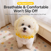 Breathable Dog Mesh Muzzle for Small and Medium Dogs - p-00279