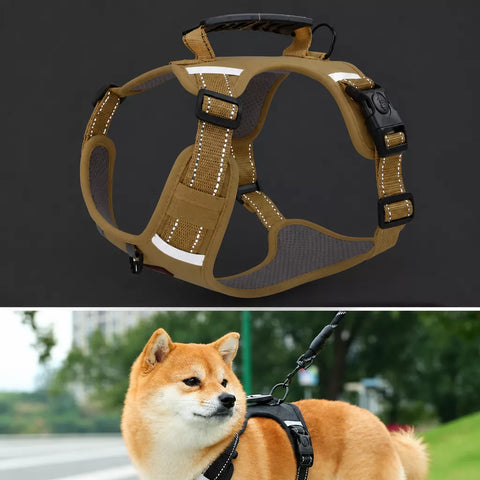 Nylon Dog Harness with Optional Leash