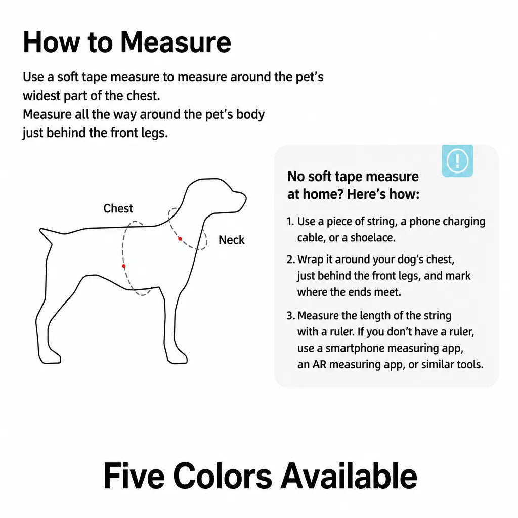 Y-Shaped Nylon Dog Harness and Leash for Small to Medium Dogs
