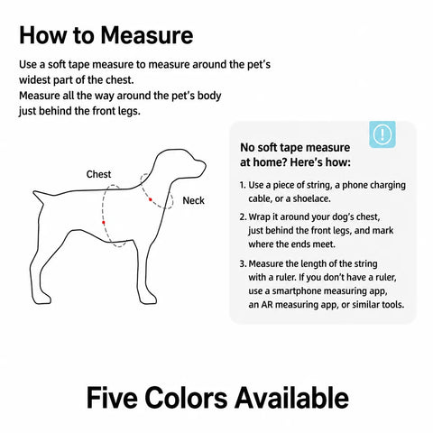 Y-Shaped Nylon Dog Harness and Leash for Small to Medium Dogs