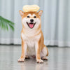 Peanut-Shaped Squeaky Dog Toy for Small and Large Breeds