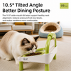 Raised Ceramic Double Pet Bowl Set
