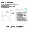 Y-Shaped Nylon Dog Harness and Leash
