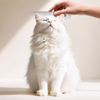 Stainless Steel Grooming Comb for Cats and Dogs