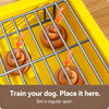 Dog Potty Training Tray with Grate