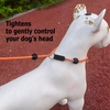 Nylon Rope Training Leash for Small and Medium-Sized Dogs