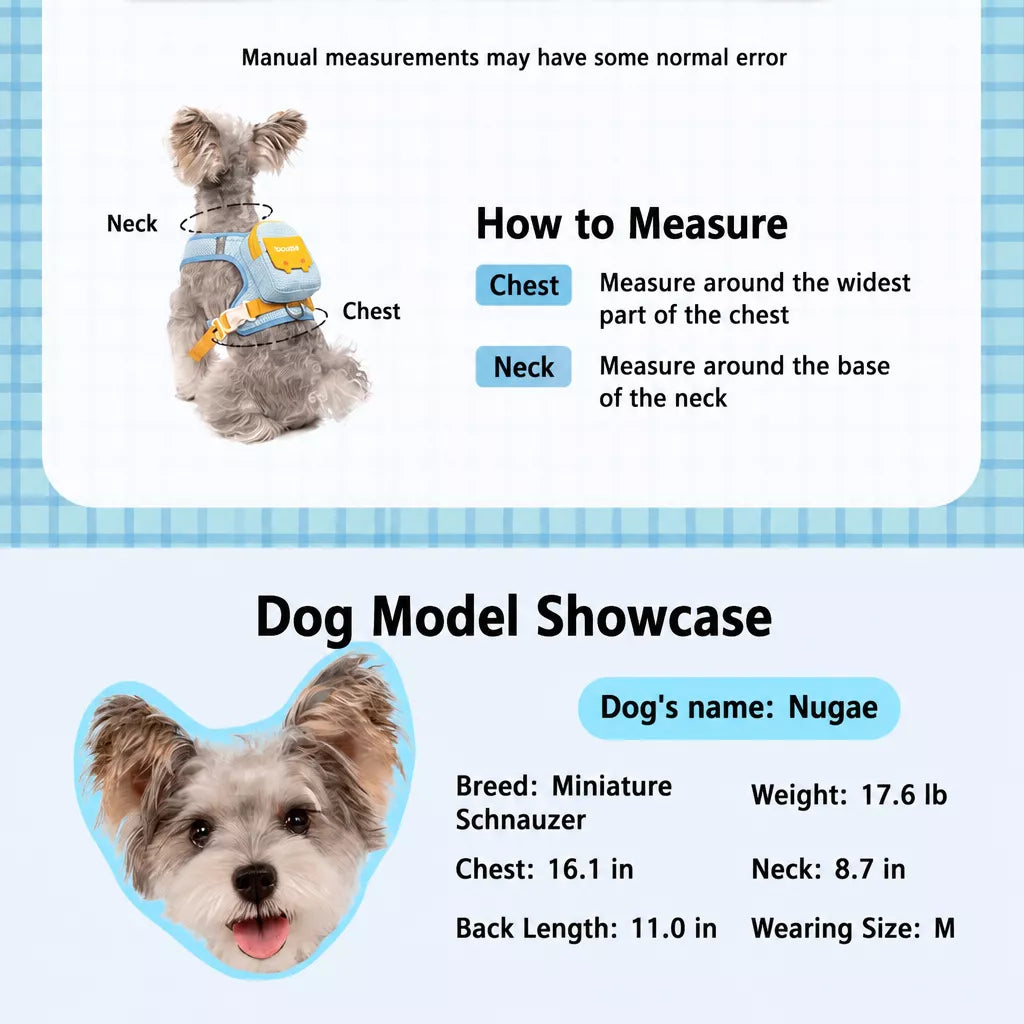 Vest-Style Pet Harness and Leash Set for Dogs & Cats