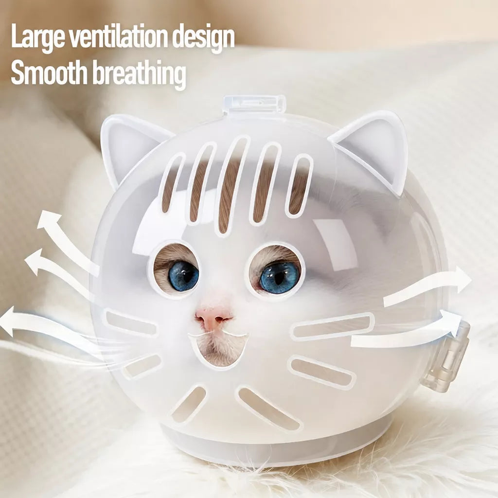 Clear Plastic Recovery Cone for Cats