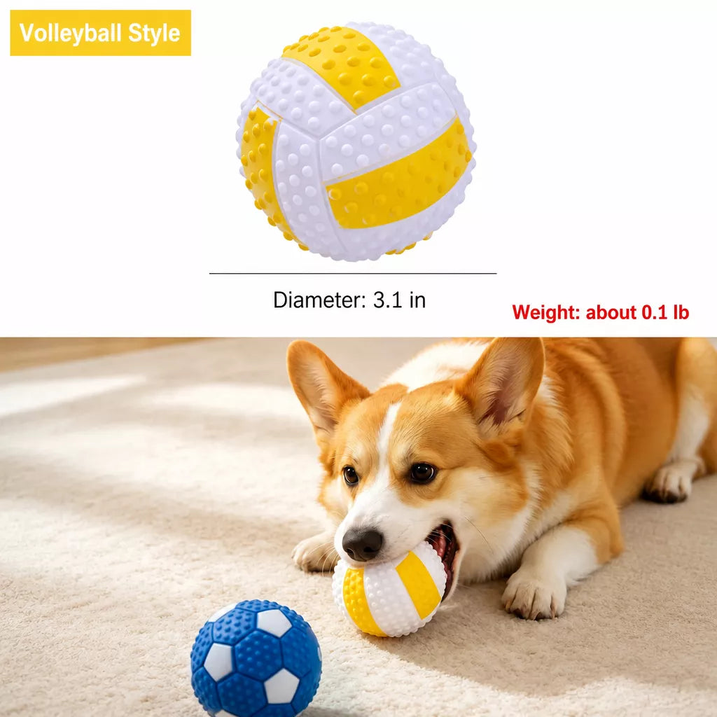 Squeaky Sports Dog Balls for Small and Medium Dogs