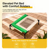 Elevated Washable Pet Bed for Small to Medium Dogs & Cats