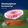 Cat Teaser Wand and Flying Disc Toy