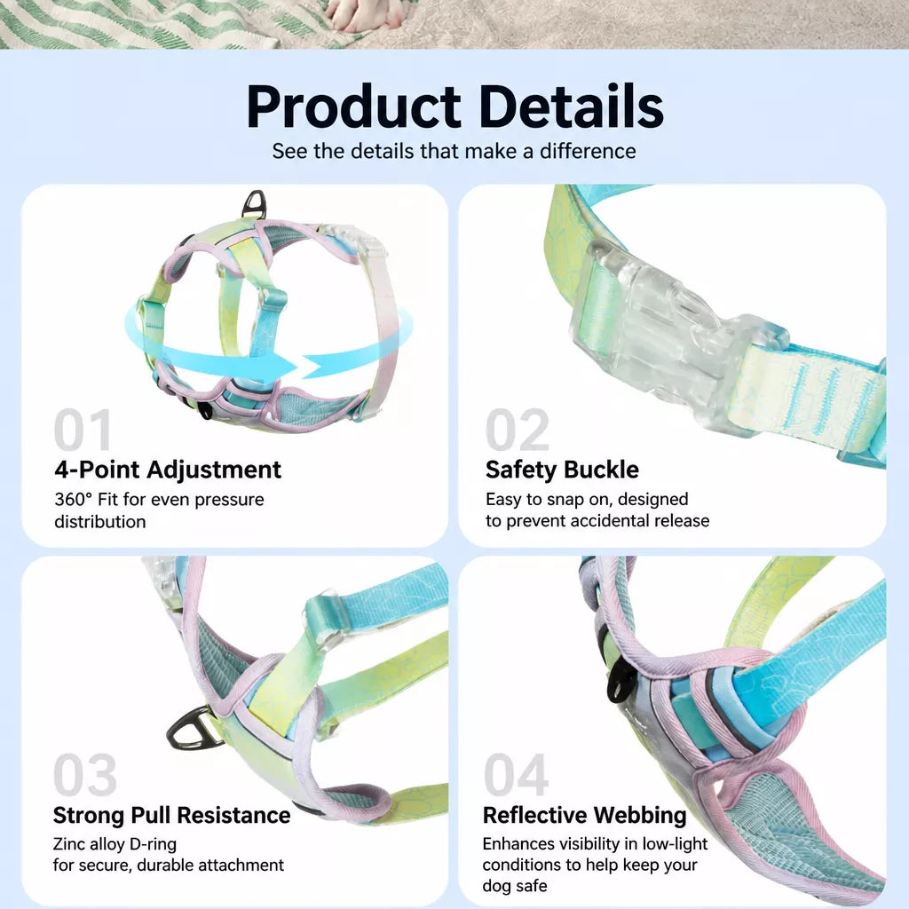 Polyester H-Style Dog Harness for Everyday Walks