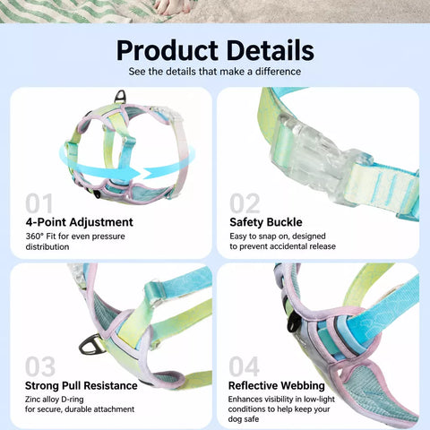 Polyester H-Style Dog Harness for Everyday Walks