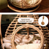 Handwoven Rattan Hanging Pet Bed with Cushion
