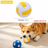 Squeaky Vinyl Dog Toy Balls for Small and Medium Dogs