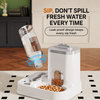 Automatic Dog and Cat Feeder with Water Bowl - p-00414