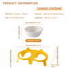 Ceramic Double Cat Bowls with Stand
