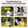 Interactive Dog Toys with Frisbee, Tug Rings and Floating Ball - p-00018