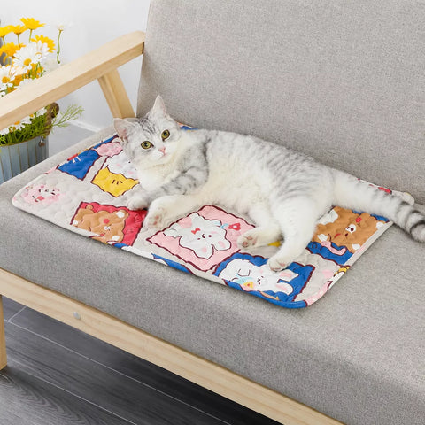 Floor Pet Bed Mat for Dogs and Cats
